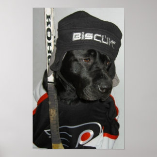 Das Poster der schwarzen Biscuit-Flyer