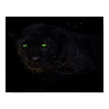 Das Poster der schwarzen Panther