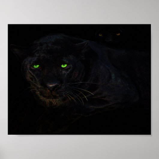 Das Poster der schwarzen Panther (Vorne)