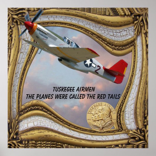 Das Poster der Tuskegee Airmen RED-SCHWANZES (Vorne)