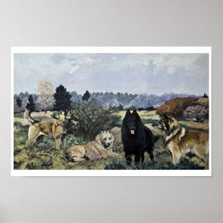 Das Poster der vier Belgier