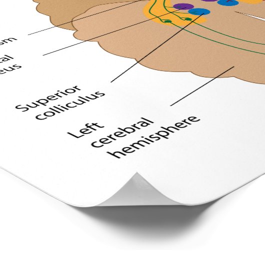 Das Poster des visuellen Projektionsweges (Ecke)