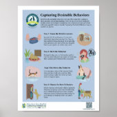 Das Poster für das erwünschte Verhalten (Vorne)