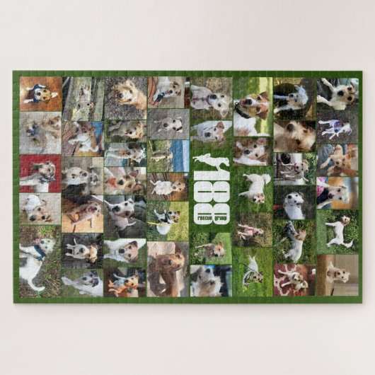 Das Poster-Puzzle der 188 Rettungsgruppe Puzzle (Horizontal)