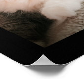 Das Poster zum Anhören (Ecke)