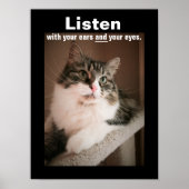 Das Poster zum Anhören (Vorne)