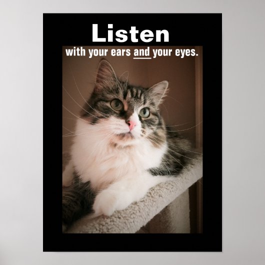 Das Poster zum Anhören (Vorne)