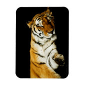 Das prächtige Magnet "Sleeping Amur" (Vertikal)