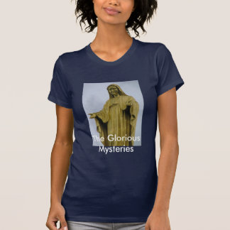 Das prachtvolle Geheimnis-Kleid T-Shirt