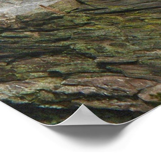 Das Präsidialdenkmal des Berges Rushmore Poster (Ecke)