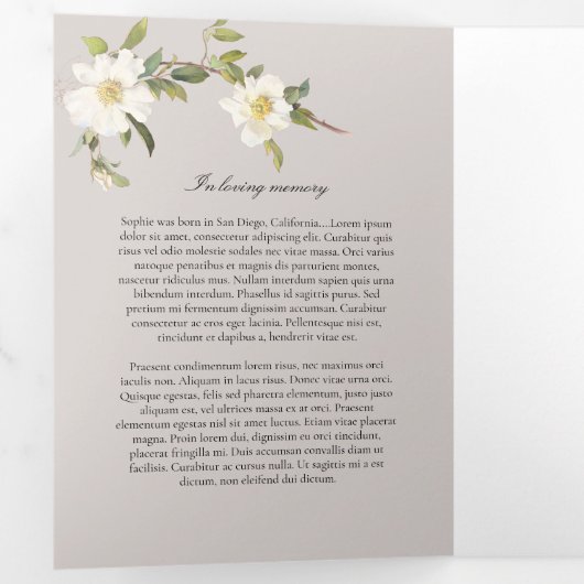 Das Programm "Weißes Kreuz" (Innen Erste Seite)