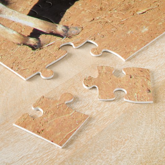 Das Puzzle am National Lick a Tortoise Day (Seite)