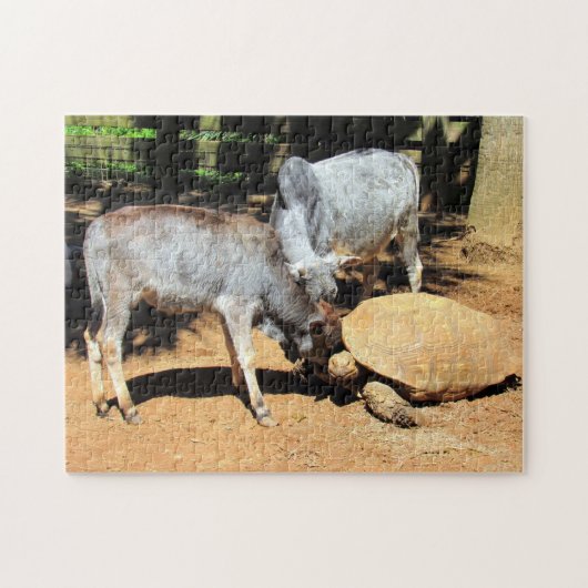 Das Puzzle am National Lick a Tortoise Day (Horizontal)