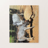 Das Puzzle am National Lick a Tortoise Day (Vertikal)