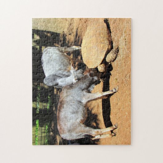 Das Puzzle am National Lick a Tortoise Day (Vertikal)