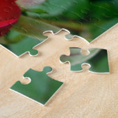 Das Puzzle der perfekten Rose (Seite)