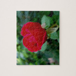Das Puzzle der perfekten Rose