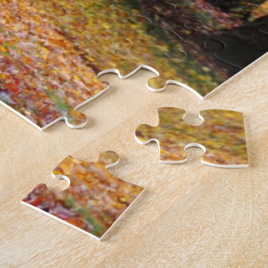 Das Puzzle "Tracks Custom Jigsaw" (Seite)