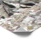 Das Quail-Poster von Frauen Gambel Poster (Ecke)