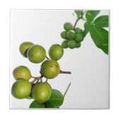 Das Quenette Fliese (Vorderseite)