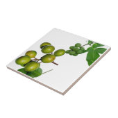 Das Quenette Fliese (Seite)