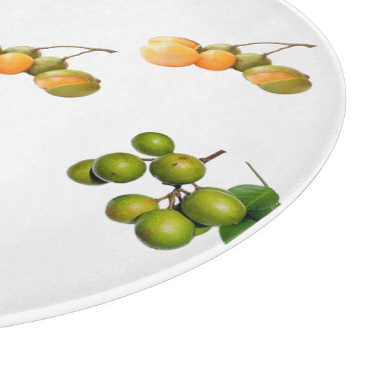 Das Quenette Schneidebrett (Ecke)