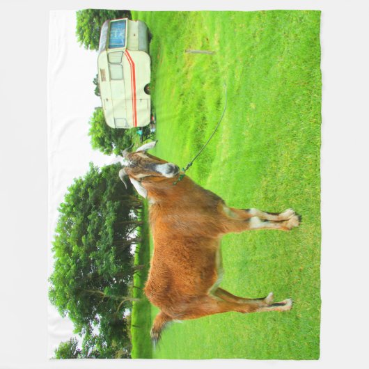 DAS QUIRKY ZIED FLEECEDECKE (Vorderseite)