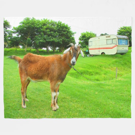 DAS QUIRKY ZIED FLEECEDECKE (Vorderseite (Horizontal))