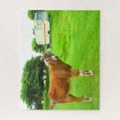 DAS QUIRKY-ZIEL 16x20 INCH Puzzle (Vertikal)