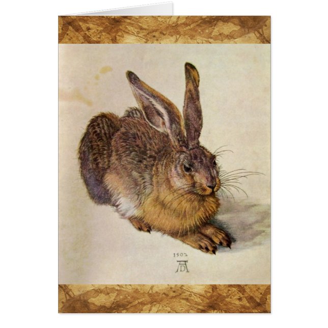 DAS RABBIT (Junge Hare) (Vorne)