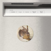 DAS RABBIT (Junge Hare) Magnet (In Situ (Geschirrspüler))