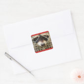 das Raccon auf dem eckigen Aufkleber (Umschlag)