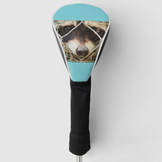 DAS RACCON AUF DER TREIBERDECKUNG GOLF HEADCOVER (Vorderseite)