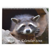 Das Raccoon-Waldtier Kalender (Titelbild)