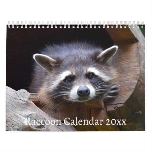 Das Raccoon-Waldtier Kalender (Titelbild)