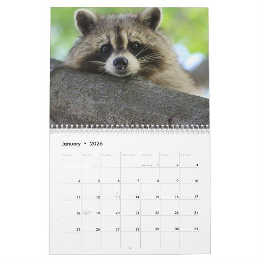 Das Raccoon-Waldtier Kalender (Jan 2026)