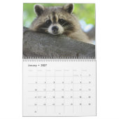 Das Raccoon-Waldtier Kalender (Jan 2027)