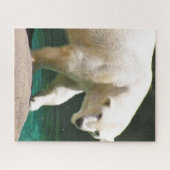 DAS Rätsel DER POLAREN Puzzle (Horizontal)