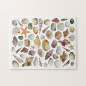 Das Rätsel um die Muschel Puzzle (Horizontal)