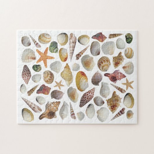 Das Rätsel um die Muschel Puzzle (Horizontal)