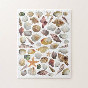 Das Rätsel um die Muschel Puzzle