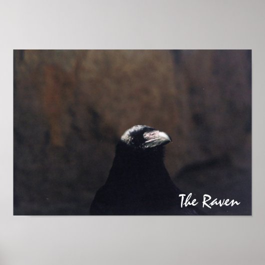 Das Raven Poster (Vorne)