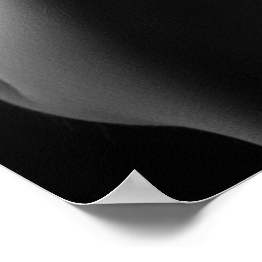 Das Raven Queen Poster (Ecke)