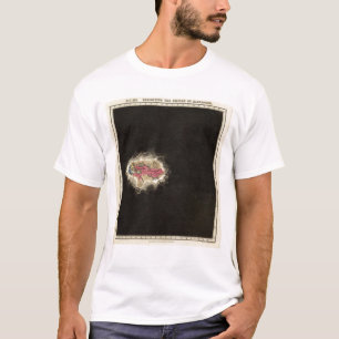 Das Reich von Alexander 323 BC ausstellen T-Shirt