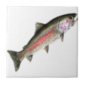 DAS REINE FLIESE (Vorderseite)