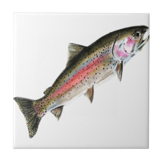 DAS REINE FLIESE (Vorderseite)