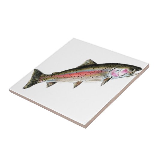 DAS REINE FLIESE (Seite)