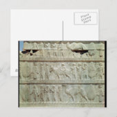 das Relief frieze auf der Osttreppe Postkarte (Vorne/Hinten)