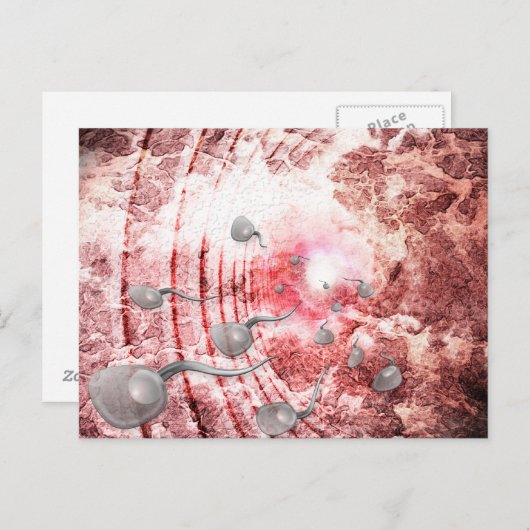 Das Rennen um das Leben Postkarte (Vorne/Hinten)