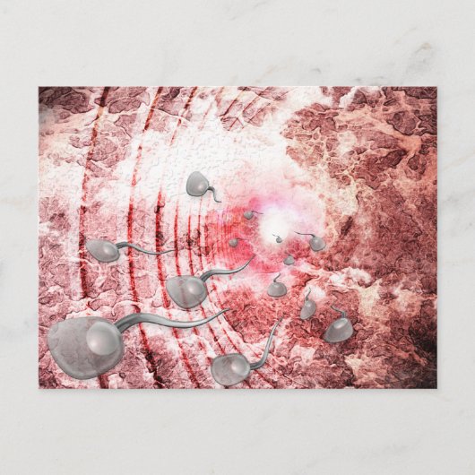 Das Rennen um das Leben Postkarte (Vorderseite)